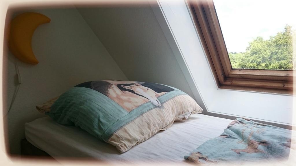 Heidezeit Apartment Hanstedt Room photo